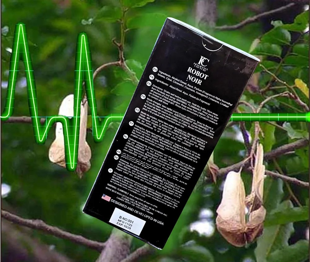 ROBOT NOIR - Imagen 3